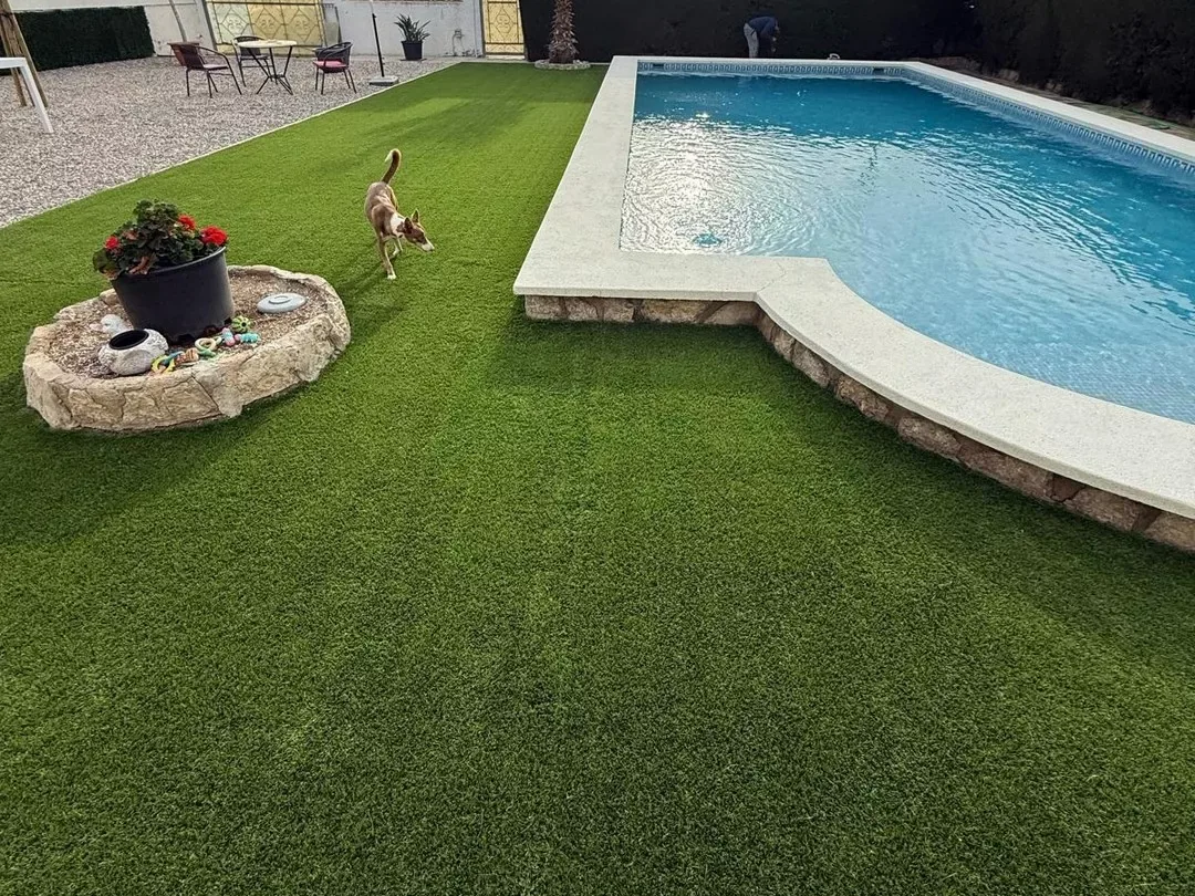 Césped artificial extendido junto a una piscina con jardinera de piedra y un perro al sol